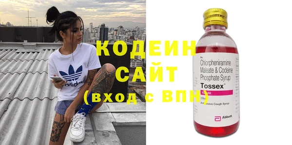 индика Белокуриха