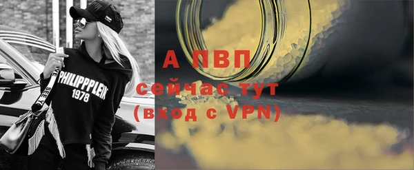 индика Белокуриха