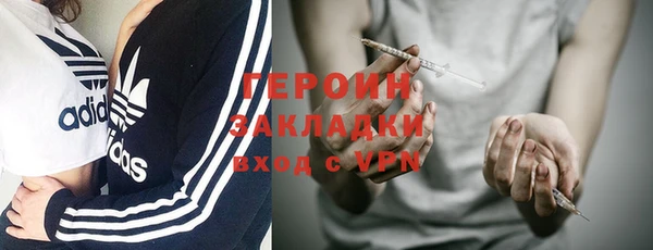 индика Белокуриха