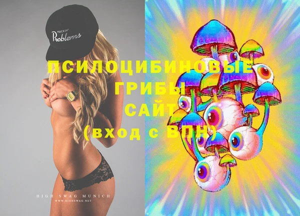 индика Белокуриха