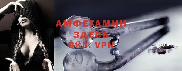 индика Белокуриха