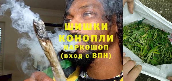 индика Белокуриха