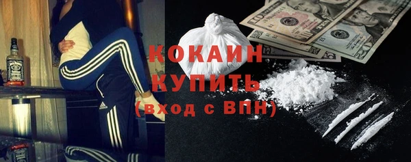 индика Белокуриха