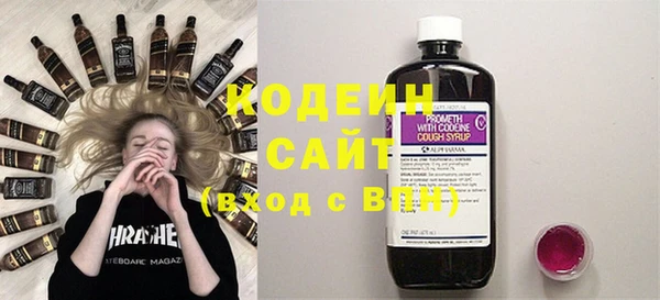 индика Белокуриха