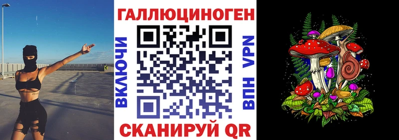 маркетплейс наркотические препараты  Мценск  Псилоцибиновые грибы мицелий 